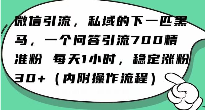 怎么搞精准创业粉？微信新赛道，每天一小时，利用Ai一个问答日引100精准粉-小艾项目网