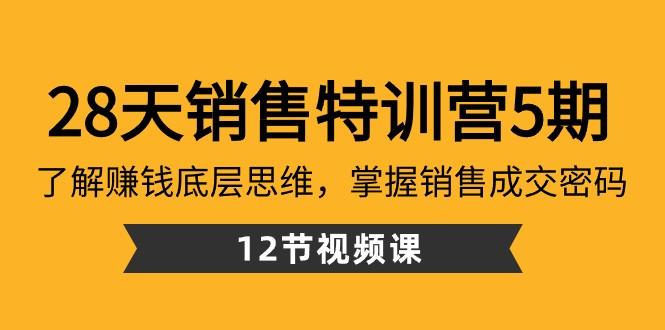28天销售特训营5期：了解赚钱底层思维，掌握销售成交密码（12节课）-小艾项目网