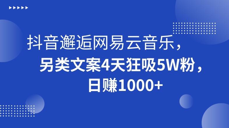 抖音邂逅网易云音乐，另类文案4天狂吸5W粉，日赚1000+【揭秘】-小艾项目网