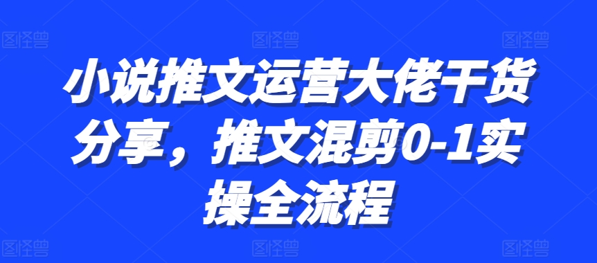 小说推文运营大佬干货分享，推文混剪0-1实操全流程-小艾项目网