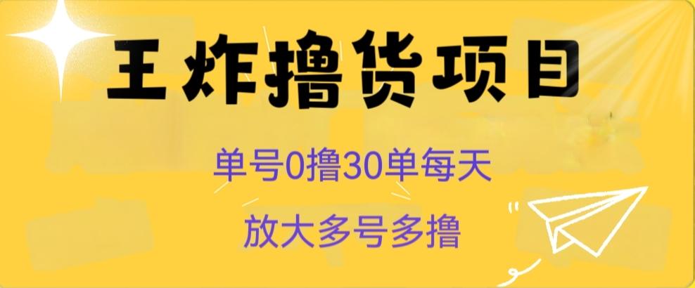 王炸撸货项目，单号0撸30单每天，多号多撸【揭秘】-小艾项目网