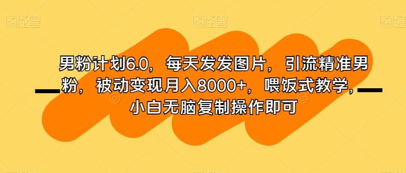 男粉计划6.0，每天发发图片，引流精准男粉，被动变现月入8000+，喂饭式教学，小白无脑复制操作即可-小艾项目网