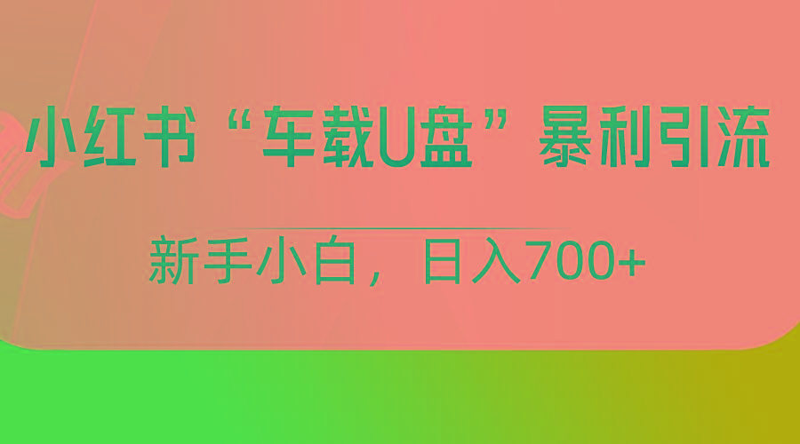 小红书“车载U盘”项目，暴利引流，新手小白轻松日入700+-小艾项目网