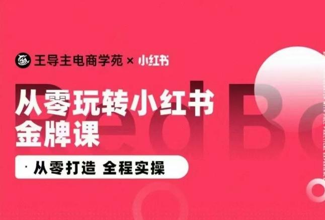 王导主·小红书电商运营实操课，​从零打造  全程实操-小艾项目网