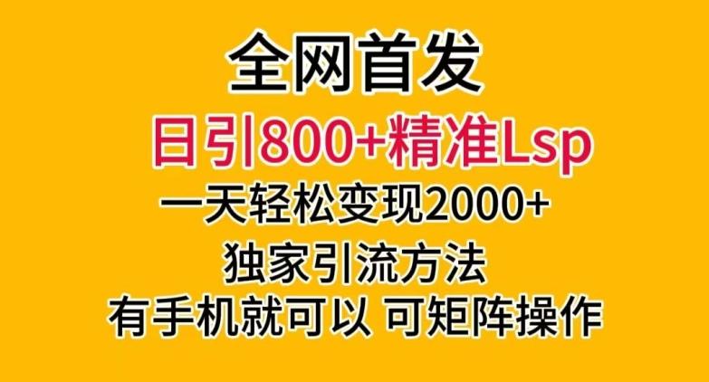 全网首发！日引800+精准老色批，一天变现2000+，独家引流方法，可矩阵操作【揭秘】-小艾项目网