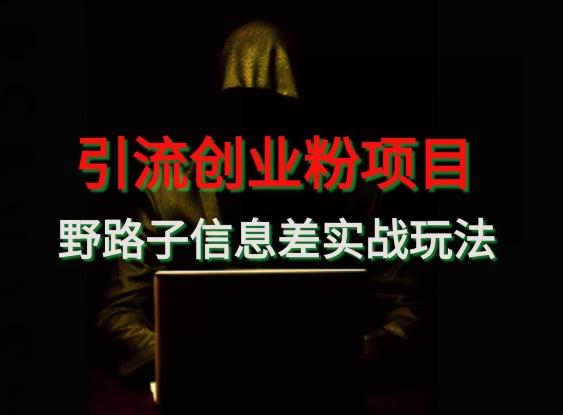 【引流创业粉】野路子信息差玩法实战教学-小艾项目网