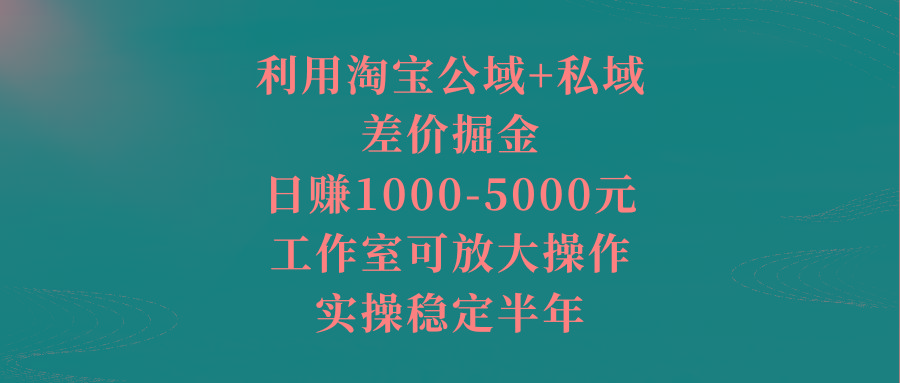 利用淘宝公域+私域差价掘金，日赚1000-5000元，工作室可放大操作，实操…-小艾项目网