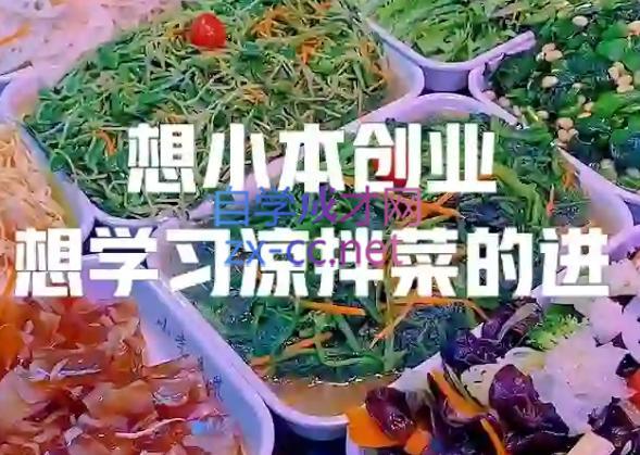 李记·精品凉拌菜系列热卤系列教程-小艾项目网