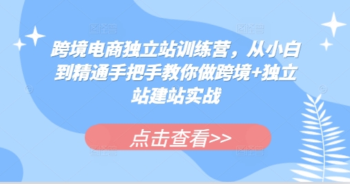 跨境电商独立站训练营，从小白到精通手把手教你做跨境+独立站建站实战-小艾项目网