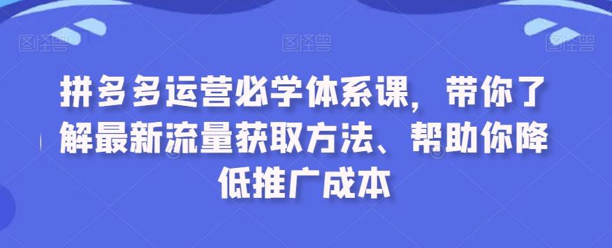 拼多多运营必学体系课，带你了解最新流量获取方法、帮助你降低推广成本-小艾项目网