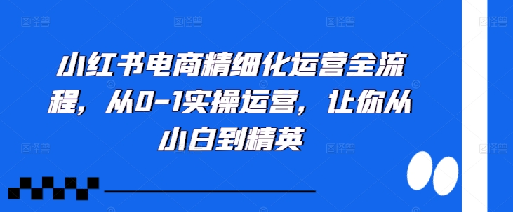 小红书电商精细化运营全流程，从0-1实操运营，让你从小白到精英-小艾项目网
