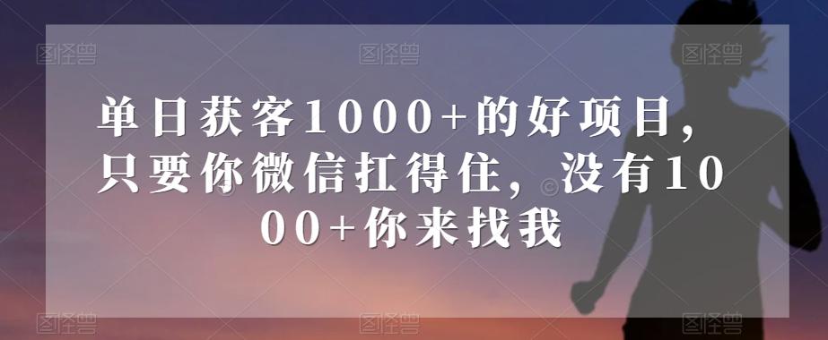 单日获客1000+的好项目，只要你微信扛得住，没有1000+你来找我【揭秘】-小艾项目网