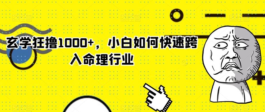 玄学狂撸1000+，小白如何快速跨入命理行业-小艾项目网