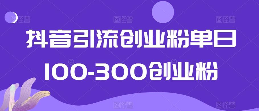 抖音引流创业粉单日100-300创业粉【揭秘】-小艾项目网