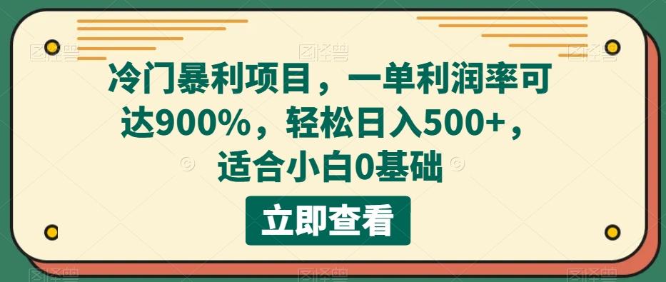 冷门暴利项目，一单利润率可达900%，轻松日入500+，适合小白0基础-小艾项目网