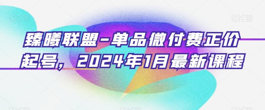 臻曦联盟-单品微付费正价起号，2024年1月最新课程-小艾项目网