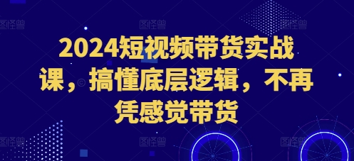 2024短视频带货实战课，搞懂底层逻辑，不再凭感觉带货-小艾项目网