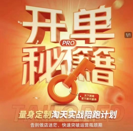 淘宝开单秘籍PRO，量身定制淘天实战陪跑计划，告别做店迷茫、快速突破运营瓶颈期(更新6月)-小艾项目网