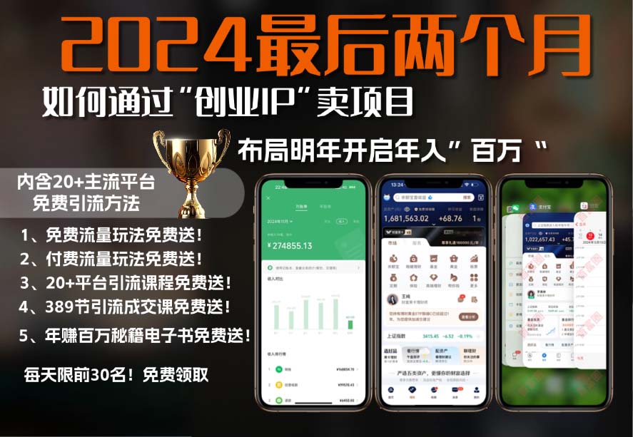 2024最后两个月如何通过”创业IP“卖项目年入”百万“,创业IP+最强引流...-小艾项目网