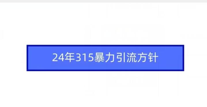 24年315暴力引流方针-小艾项目网