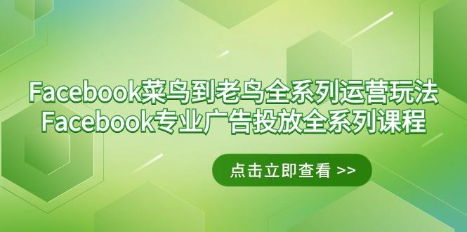 Facebook-菜鸟到老鸟全系列运营玩法+Facebook-专业广告投放全系列课程-小艾项目网