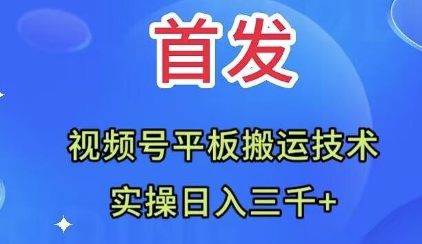 全网首发：视频号平板搬运技术，实操日入三千＋-小艾项目网