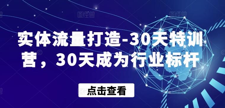实体流量打造-30天特训营，30天成为行业标杆-小艾项目网