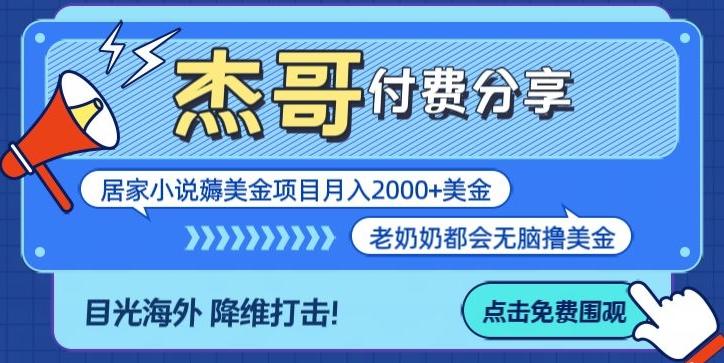 拆解海外撸美金项目月入2000美刀详细指导-小艾项目网