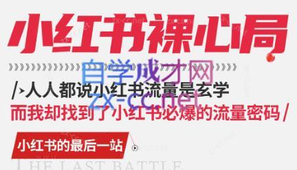 月月老师·小红书低粉高变现课-小艾项目网