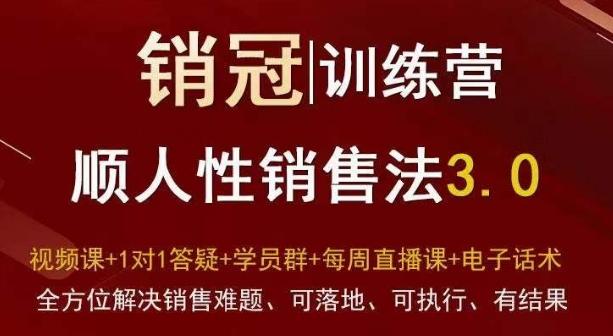 爆款！销冠训练营3.0之顺人性销售法，全方位解决销售难题、可落地、可执行、有结果-小艾项目网