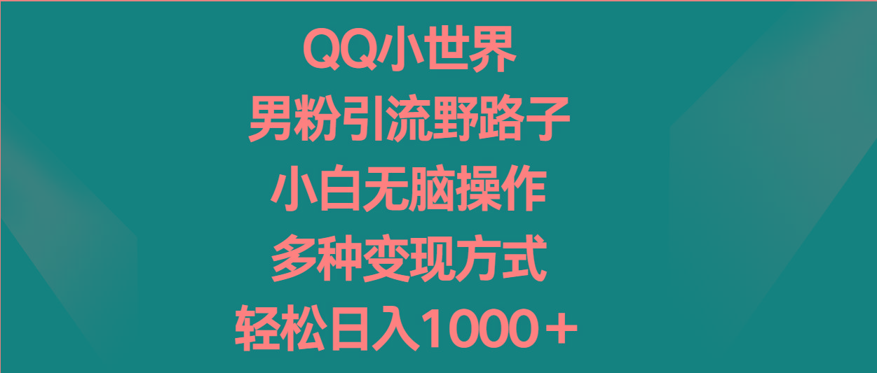 QQ小世界男粉引流野路子，小白无脑操作，多种变现方式轻松日入1000＋-小艾项目网