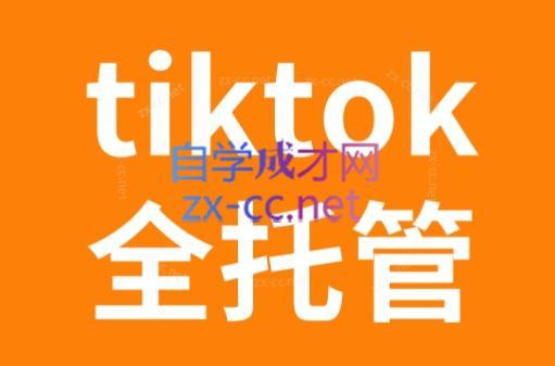 TikTok跨境电商全托管运营模式精品课-小艾项目网