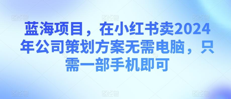 蓝海项目，在小红书卖2024年公司策划方案无需电脑，只需一部手机即可-小艾项目网