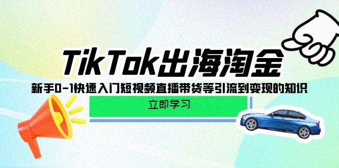 (10035期)TikTok-出海淘金，新手0-1快速入门短视频直播带货等引流到变现的知识-小艾项目网