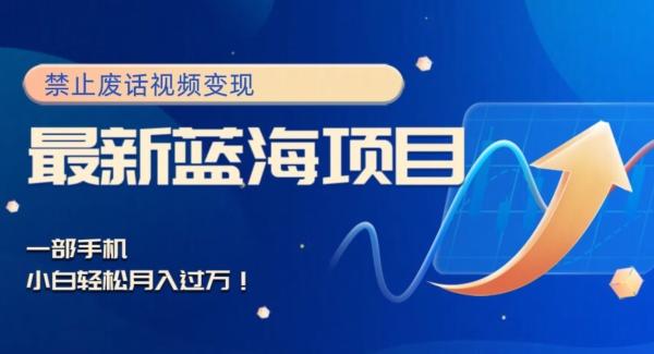 最新蓝海项目，靠禁止废话视频变现，一部手机，小白轻松月入过万！-小艾项目网