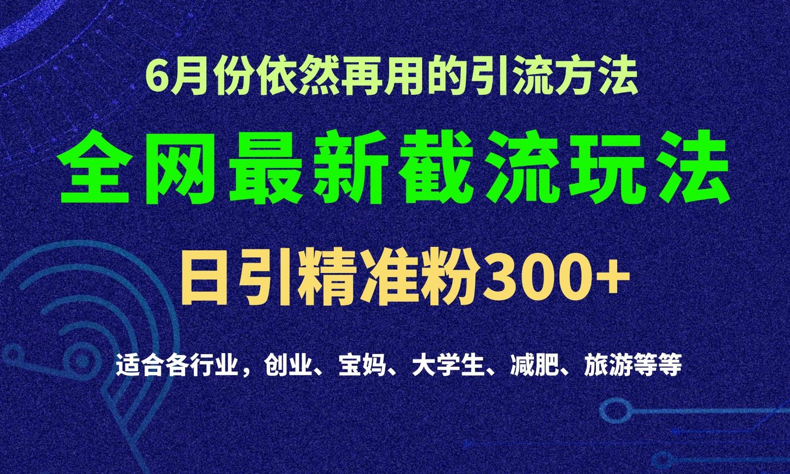 2024全网最新截留玩法，每日引流突破300+-小艾项目网
