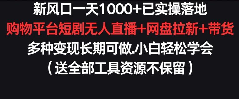 新风口一天1000+已实操落地购物平台短剧无人直播+网盘拉新+带货多种变现长期可做【揭秘】-小艾项目网