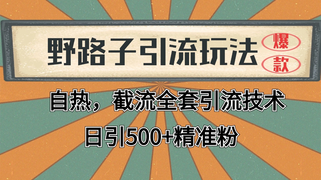 2024首发野路子引流玩法截流自热全平台打法，全自动引流【日引2000+精准客户】-小艾项目网