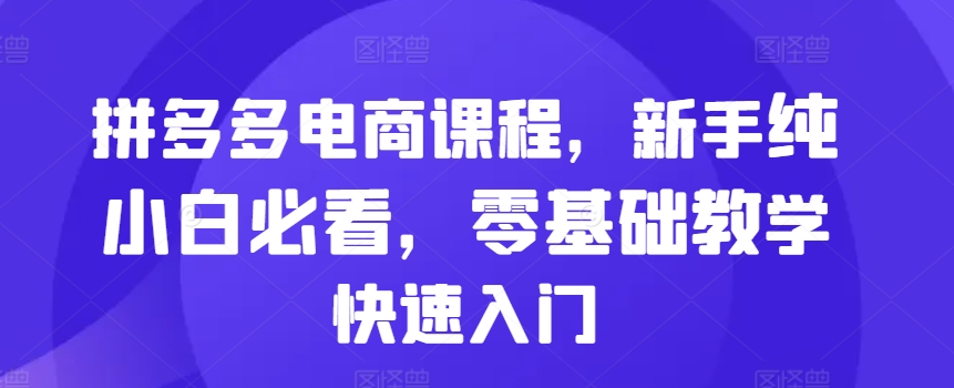 拼多多电商课程，新手纯小白必看，零基础教学快速入门-小艾项目网