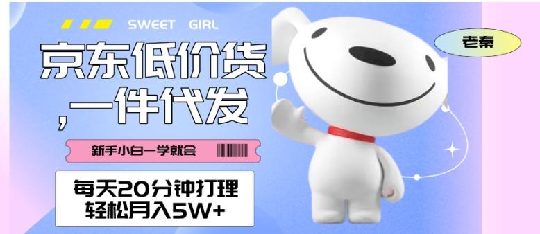 每天20分钟打理京东低价货，一件代发-轻松月入5W＋-小艾项目网