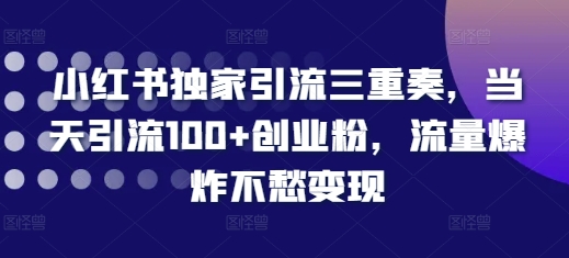 小红书独家引流三重奏，当天引流100+创业粉，流量爆炸不愁变现【揭秘】-小艾项目网