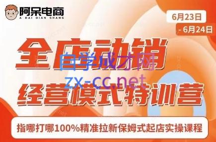 阿呆电商·全店动销经营模式特训营(线下录音+思维导图)-小艾项目网