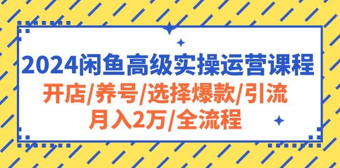 2024闲鱼高级实操运营课程：开店/养号/选择爆款/引流/月入2万/全流程-小艾项目网