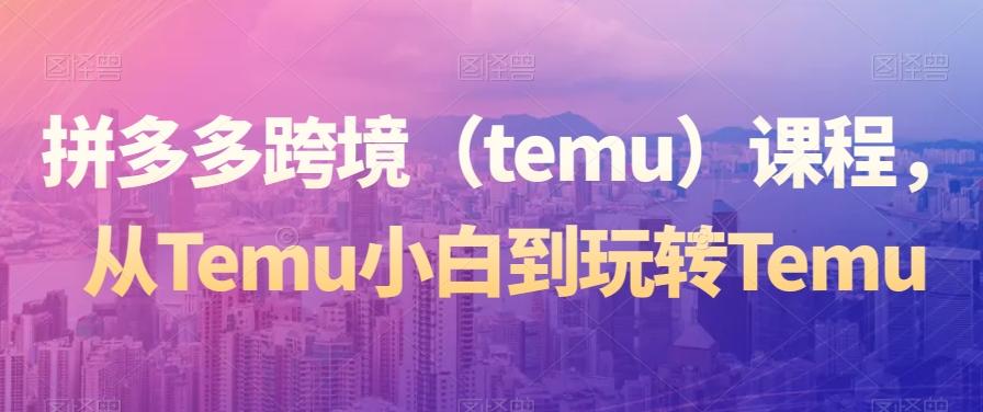 拼多多跨境（temu）课程，从Temu小白到玩转Temu-小艾项目网