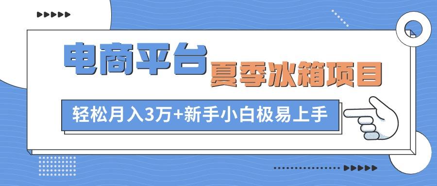 电商平台夏季冰箱项目，轻松月入3万+，新手小白极易上手-小艾项目网
