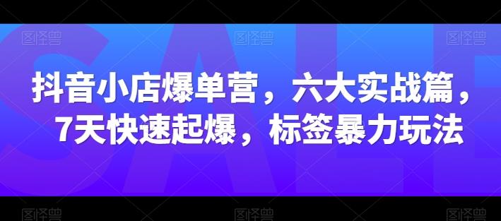 抖音小店爆单营，六大实战篇，7天快速起爆，标签暴力玩法-小艾项目网