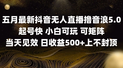 2025五月最新无人直播撸音浪单日产出5张+实操教程【揭秘】-小艾项目网