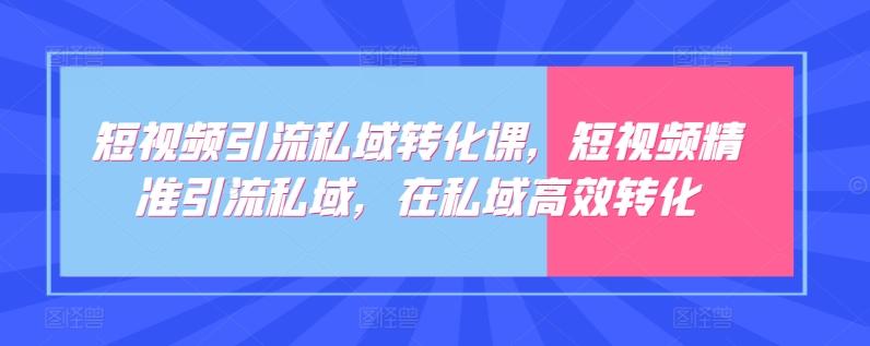 短视频引流私域转化课，短视频精准引流私域，在私域高效转化-小艾项目网