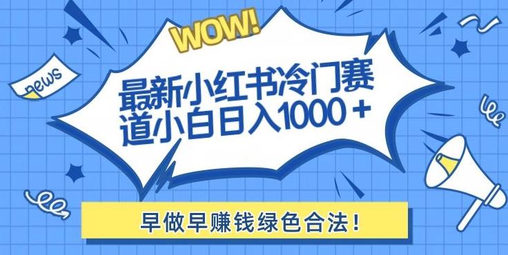 最新小红书冷门赛道日入1000+一部手机小白轻松-小艾项目网