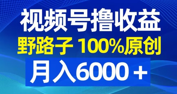 视频号野路子撸收益，100%原创，条条爆款，月入6000＋【揭秘】-小艾项目网
